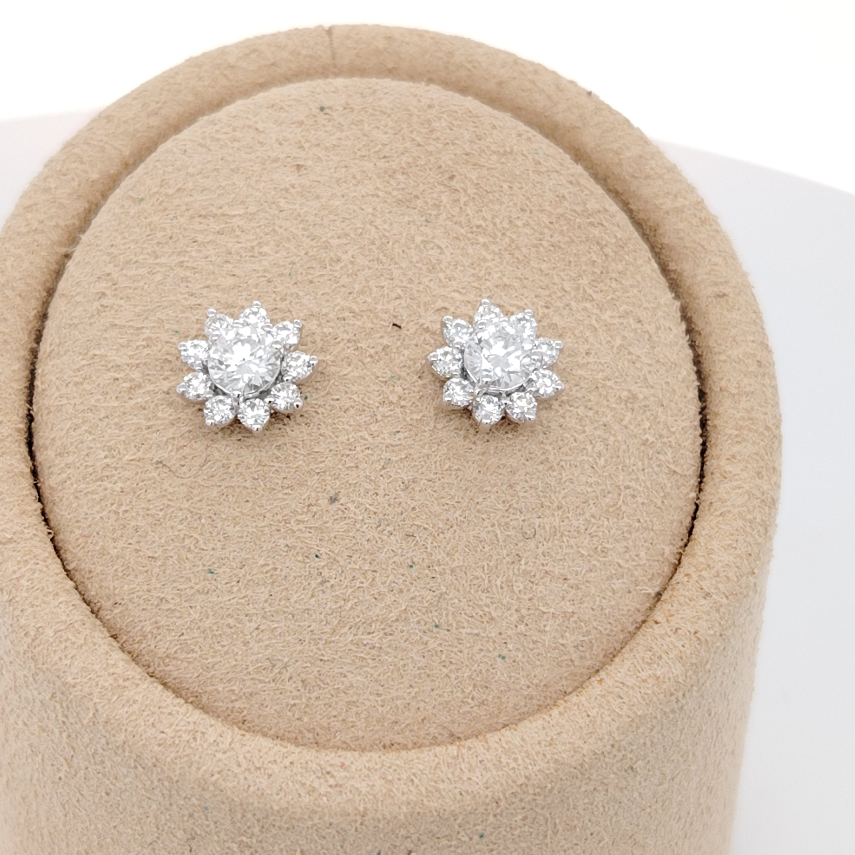 Brilliant Halo Stud Earrings